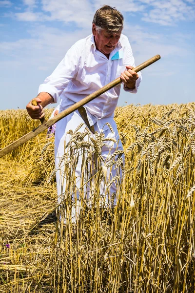 Granjero cortando trigo — Foto de Stock