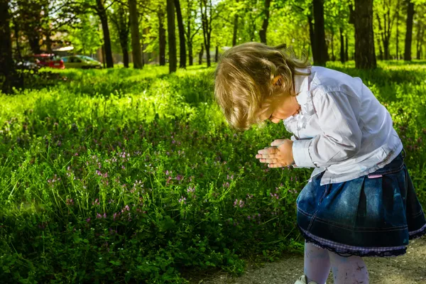 Açık çayır üzerinde sevimli küçük kız portresi — Stok fotoğraf