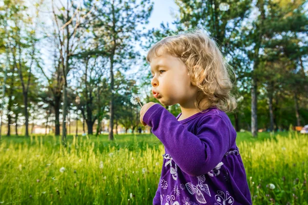 So many wishes. — Stock Photo, Image