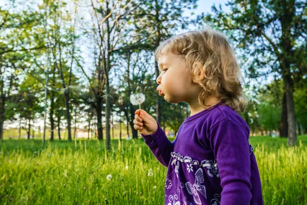 So many wishes. — Stock Photo, Image