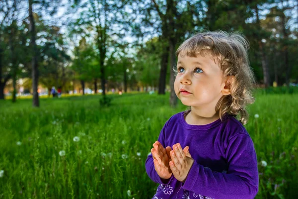 Açık çayır üzerinde sevimli küçük kız portresi — Stok fotoğraf