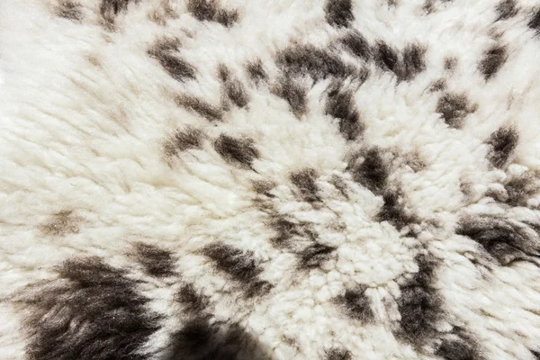 Fur texture — Stock Photo, Image