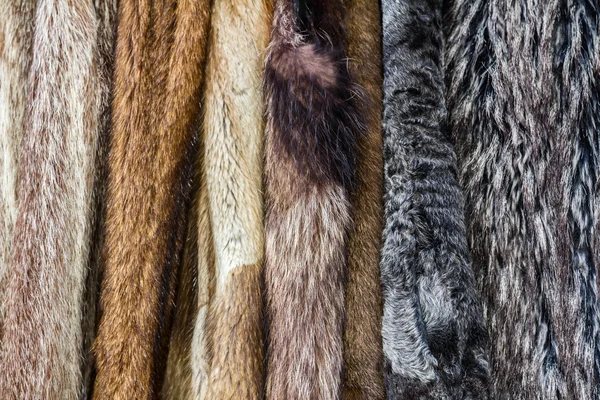 Меховые пальто — стоковое фото