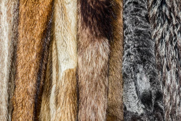 Fur coats — Stock Photo, Image