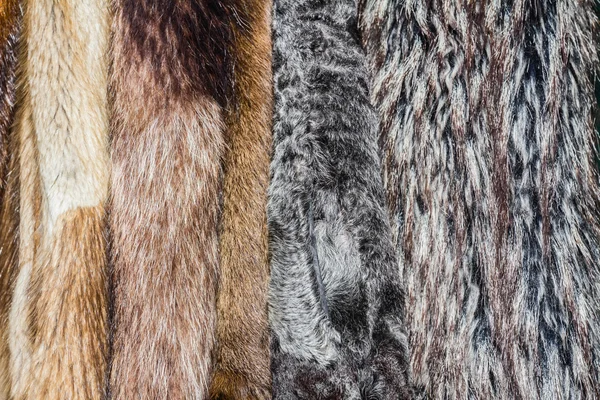 Меховые пальто — стоковое фото