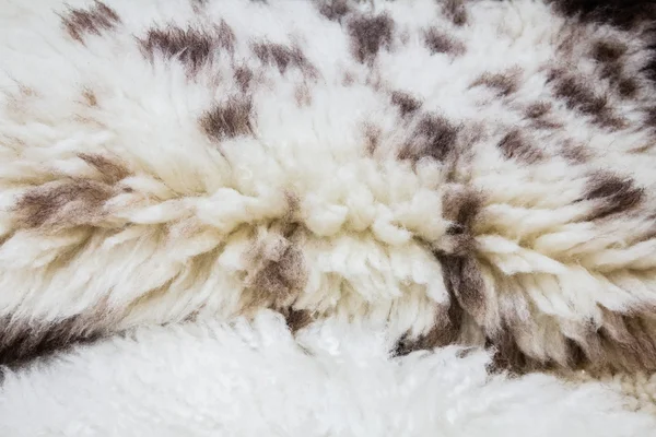 Fur texture — Stock Photo, Image