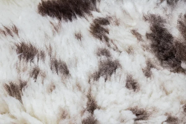 Fur texture — Stock Photo, Image