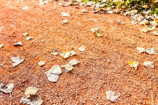 Antecedentes de la pista de footing — Foto de Stock