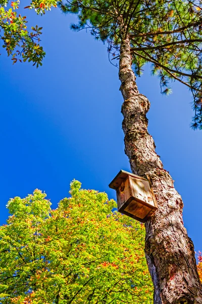 Casa de aves — Foto de Stock