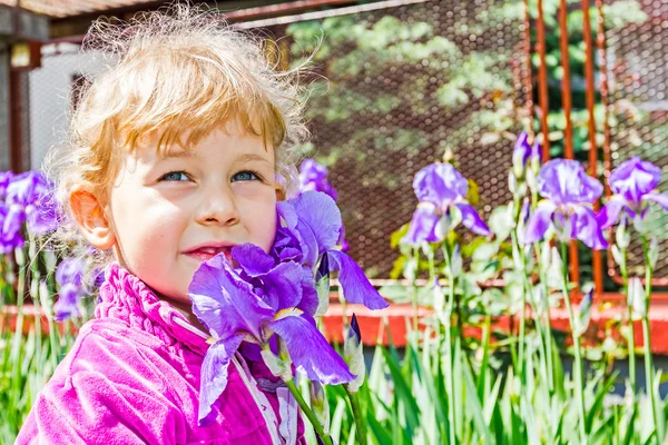 Iris and a child — Stock Photo, Image