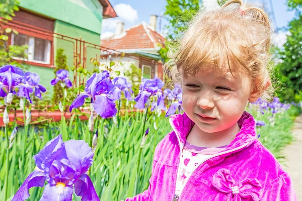 Iris and a child — Stock Photo, Image