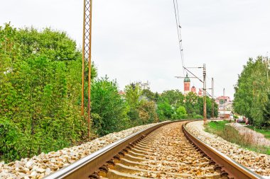 Rayların