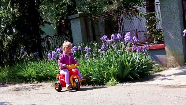 女の子は彼女の三輪車に乗って楽しんでいます。. — ストック動画
