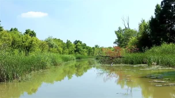 Viagem fluvial — Vídeo de Stock