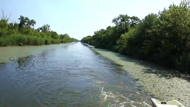 Viagem fluvial — Vídeo de Stock