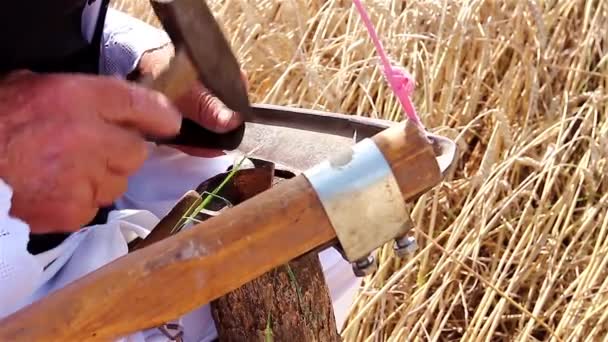 Фермер готовится к сбору урожая с косой — стоковое видео