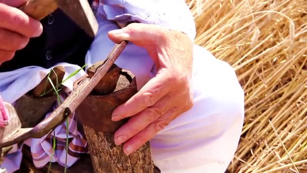 Mezőgazdasági termelő készül betakarítás a kaszát — Stock videók