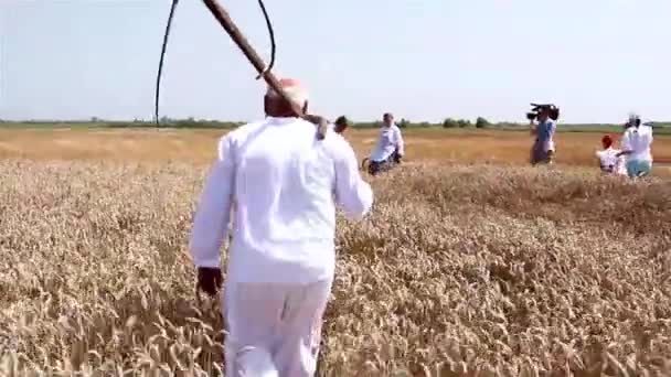 Фермер режет пшеницу косой — стоковое видео