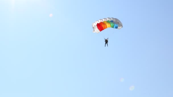 パラシュートが開いているパラシュートが飛んでいて 地面に着陸するために遅くなっています スカイダイビング パラシュートジャンプ — ストック動画