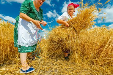 Muzlja, Voyvodina, Sırbistan, - 3 Temmuz 2021; Geleneksel olarak buğday hasatı Kadınlar buğday biçmek için orak kullanıyor.. 