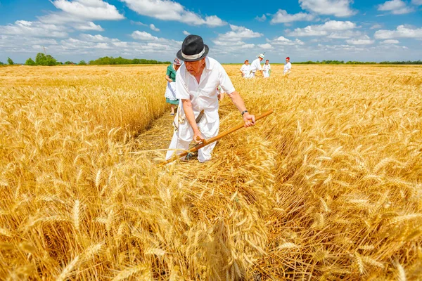 Muzlja Vojvodina Serbien Juli 2021 Xxxviii Traditionelle Weizenernte — Stockfoto