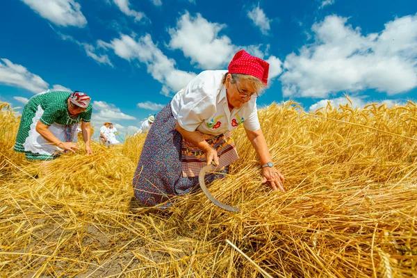 Muzlja Vojvodina Serbien Juli 2021 Xxxviii Traditionelle Weizenernte Frauen Sammeln — Stockfoto