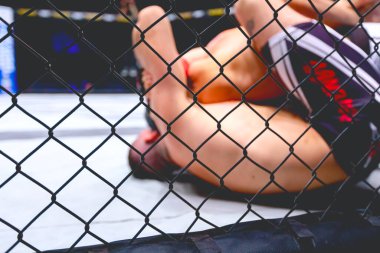 İki güçlü kaslı profesyonel MMA dövüşçüsü, birbirlerine kenetlenmişler, sekizgen katta parterre güreşiyorlar..