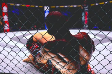 İki güçlü kaslı profesyonel MMA dövüşçüsü, birbirlerine kenetlenmişler, sekizgen katta parterre güreşiyorlar..