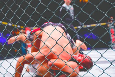 İki güçlü kaslı profesyonel MMA dövüşçüsü, birbirlerine kenetlenmişler, sekizgen katta parterre güreşiyorlar..