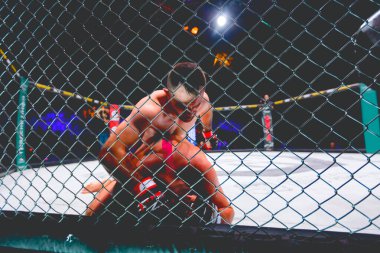 İki güçlü kaslı profesyonel MMA dövüşçüsü, birbirlerine kenetlenmişler, sekizgen katta parterre güreşiyorlar..