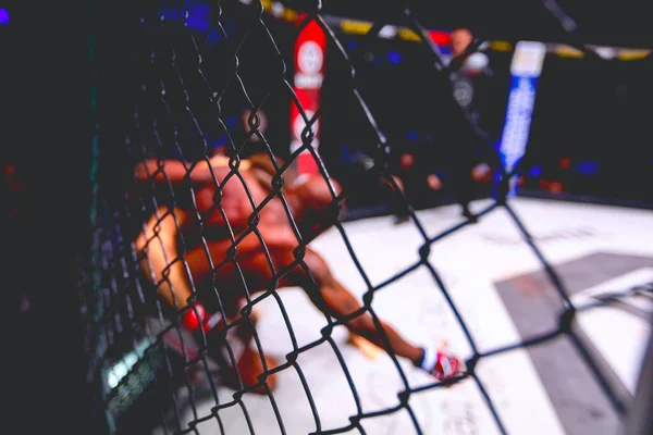 Twee Sterke Gespierde Professionele Mma Vechters Vechten Zijn Clinch Worstelen — Stockfoto