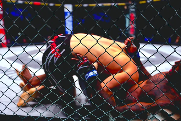 Twee Sterke Gespierde Professionele Mma Vechters Vechten Zijn Clinch Worstelen — Stockfoto