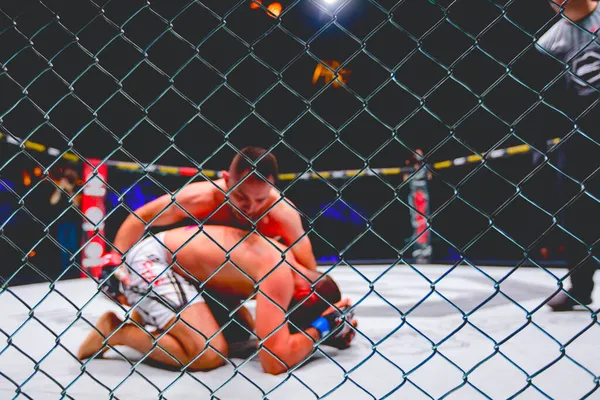 İki güçlü kaslı profesyonel MMA dövüşçüsü, birbirlerine kenetlenmişler, sekizgen katta parterre güreşiyorlar..