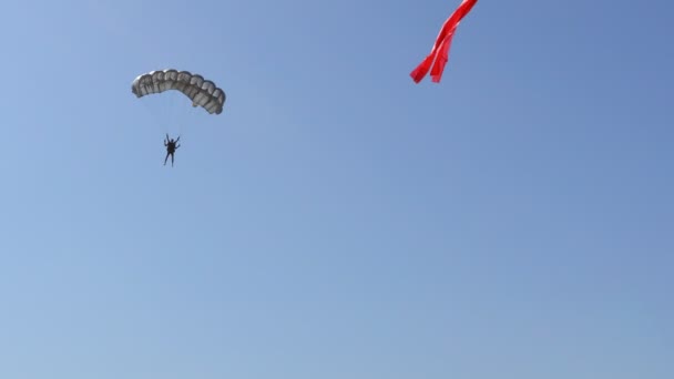 Parachutist Vliegt Langzaam Naar Beneden Met Een Open Parachute Parachutespringen — Stockvideo