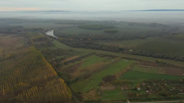 Вид Сверху Передняя Тележка Травянистый Пейзаж Лес Растительность Набережная Грязной — стоковое видео
