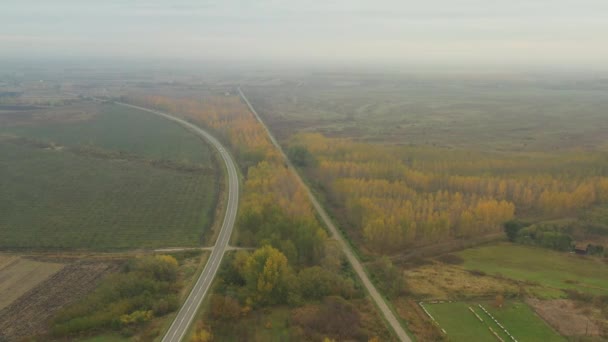 Seitlich Fahrender Luftwagen Blick Auf Dunst Über Horizont Landschaftsvegetation Asphaltstraße — Stockvideo