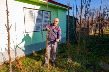 Çiftçi meyve bahçesindeki meyve ağaçlarının dallarını buduyor. İlkbaharın başlarında kır evinin yanında uzun kesiciler kullanıyor..