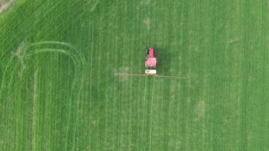 Tepede, tepedeki kule, traktörü tarla üzerine monte edilmiş taze yeşil buğday püskürten tarla püskürtücüsü olarak hareket ettiriyor..