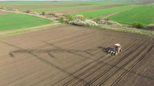 위에서 트랙터 경작지 기계를 당겨서 새로운 곡물식 옥수수 옥수수를 수있다 — 비디오