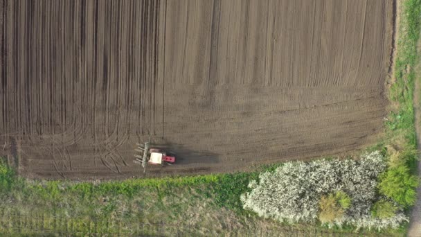 Obere Ansicht Des Traktors Als Mechanische Sämaschine Über Ackerfeld Boden — Stockvideo