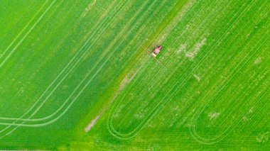 Üstten bakıldığında, traktörün yukarıdan görünüşü, tarlanın üzerine monte edilmiş taze yeşil buğday püskürten tarla püskürtücüsü gibi görünüyor..