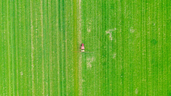 Above top view, overhead view on tractor as spraying farmland with young green wheat dragging mounted wide agricultural sprayer over field.