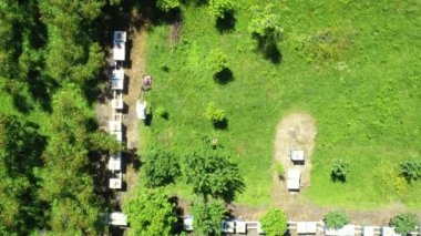 Arı yetiştiricisinin üstünde, bir sırada dizilmiş arı kovanları arasında çim biçme makinesi ile arı kolonisi kesiliyor.. 