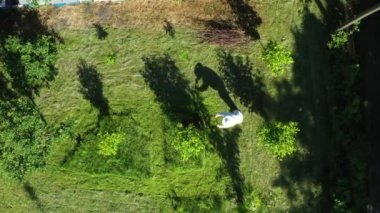 Bahçesinde çim biçen arı yetiştiricisinin üstünde, motorlu çim biçme makinesiyle arılar uçuşuyor.. 