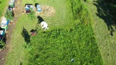 Görüş kulesinin üstünde hareket eden ve kamerayı kaldıran arı yetiştiricisi, arı kovanları arasında sıra sıra çim biçme makinesi ile sıralanmış çimleri biçen arı kovanı gibi.. 