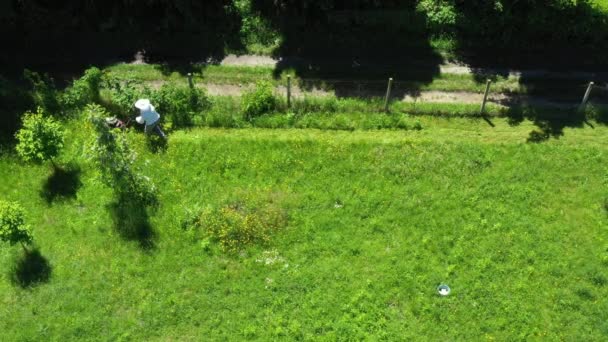 View Dolly Move Backwards Beekeeper Cutting Grass Beehives Arranged Row — Stock Video