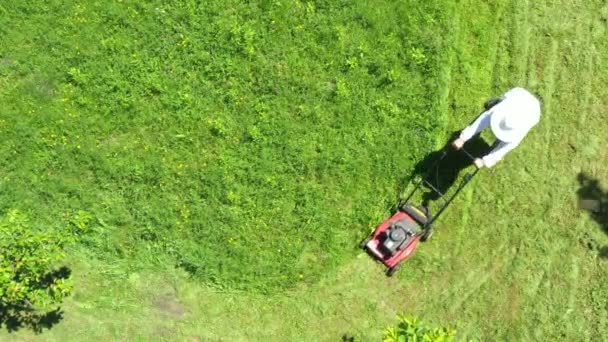 Boven Het Uitzicht Imker Als Hij Gras Maait Zijn Tuin — Stockvideo