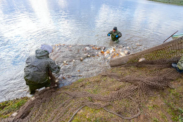 Pescadores Usam Macacões Prova Água Lagoa Enquanto Arrancam Rede Pesca — Fotografia de Stock