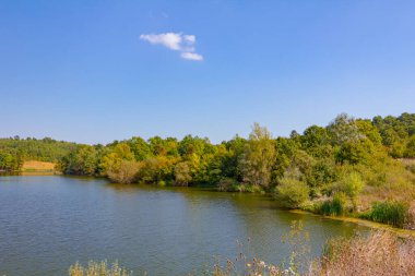 Beautiful scene of colorful forest on hilly landscape over lake.