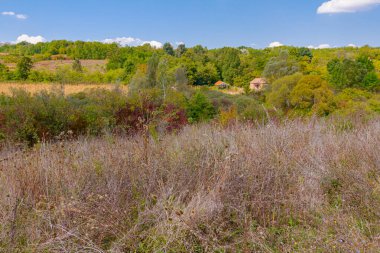 An old ruin cottage placed in the middle of forest overgrown with vegetation.
